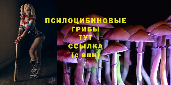СК Козловка
